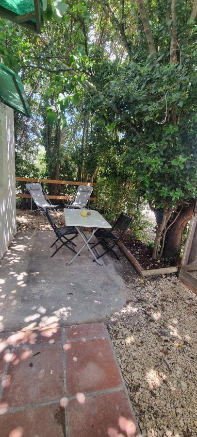 Studio En Camargue Арл Екстериор снимка